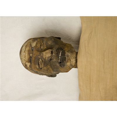 EM-S1-RAMSSES-IV-S-MUMMY-10208-1_800x800.jpg