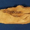 BrE.6573(2).jpg