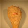 U12712.jpg