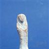 U12746a.jpg