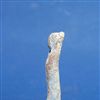 U12746b.jpg