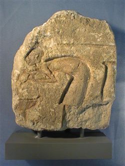 11960.jpg