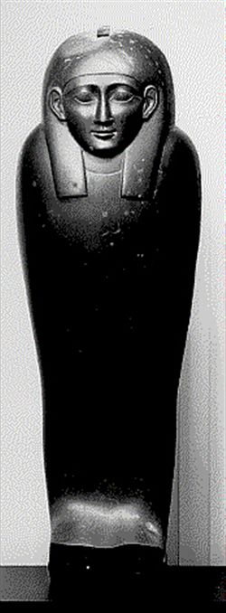 6289a.jpg