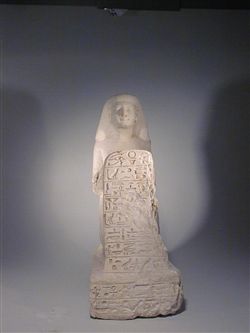 6290a.jpg