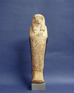 8811a.jpg