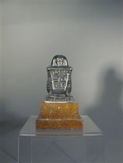 8843a.jpg