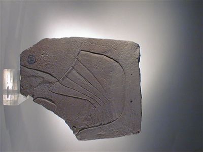 3799a.jpg