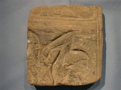 8753.jpg