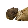 EM-S1-RAMSSES-III-S-MUMMY-10207-2_800x800.jpg