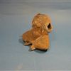 2419b.jpg