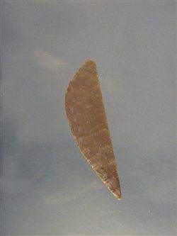 0599a.jpg