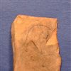 BrE.6431(2).jpg