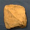 BrE.6769(2).jpg