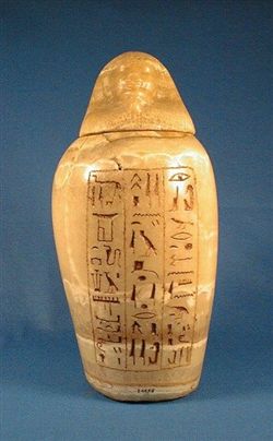 BrE.5898(1).jpg