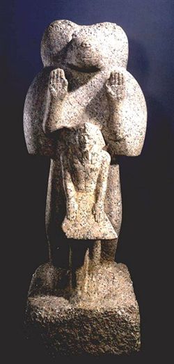 5782a.jpg