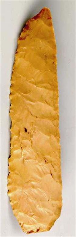 E004-Ifn7202.jpg