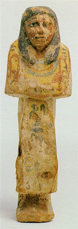 e077-Ifn8556.jpg
