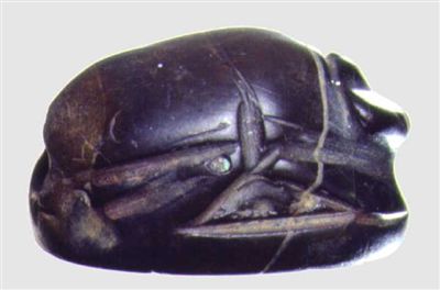 E542-ifn7263.jpg