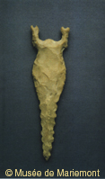 Ac98-88Acopyright.jpg