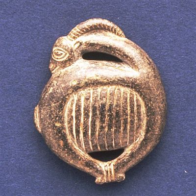 56.20.255.jpg