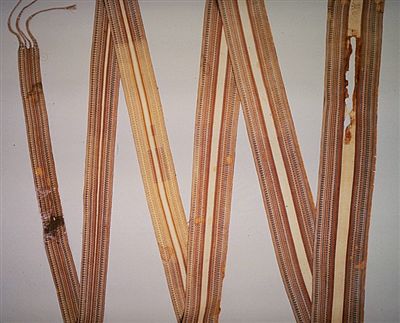 M11156a.jpg