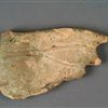 1892294b.jpg