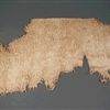 1911474.jpg