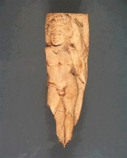 1914226.JPG
