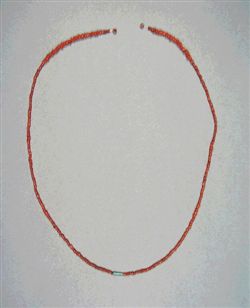 1920299.JPG