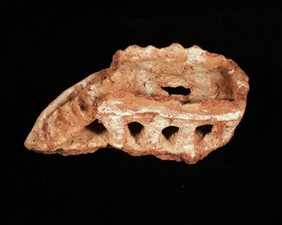 1912185.JPG