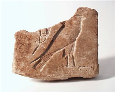 1913354.JPG