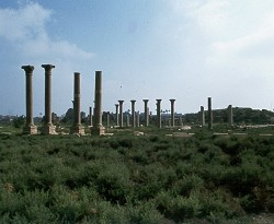 Hermopolis.jpg