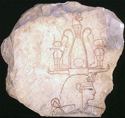 Ostracon.jpg